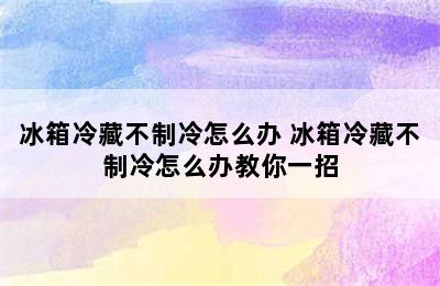 冰箱冷藏不制冷怎么办 冰箱冷藏不制冷怎么办教你一招